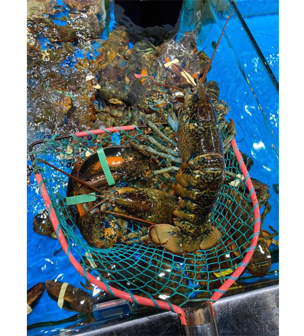 蟹食客海鲜焖锅，味蕾的深海奇遇！