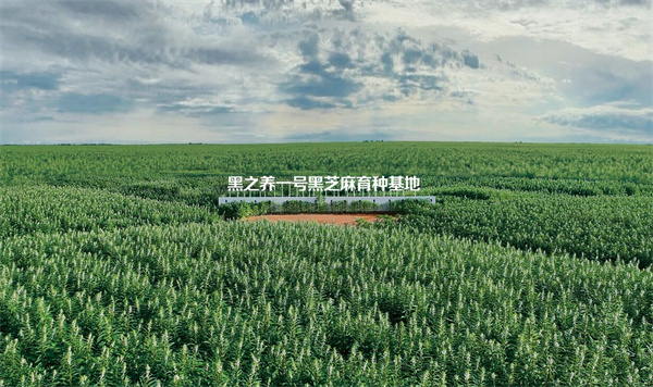 五谷磨房加盟