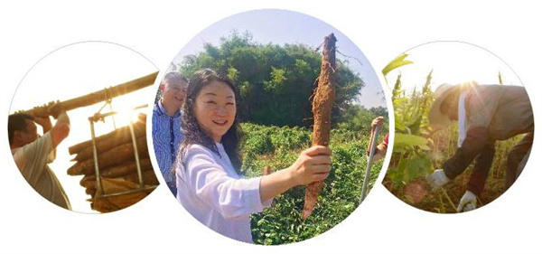五谷磨房加盟