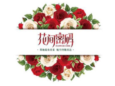 花间密码加盟图册
