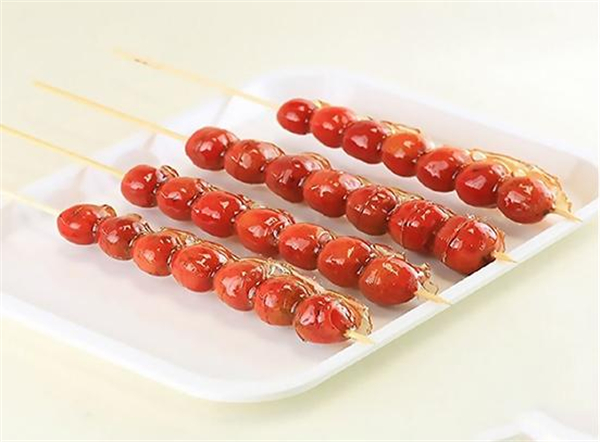 丁大毛冰糖葫芦加盟