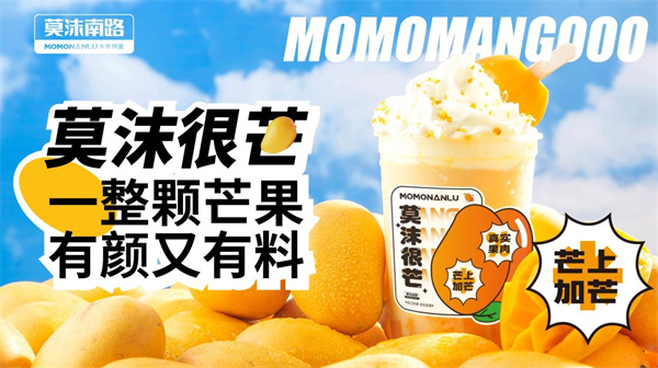 莫沫南路加盟