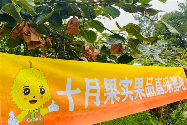 十月果实加盟