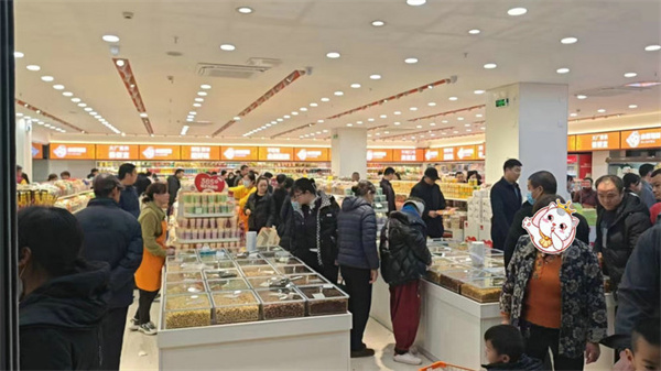 小猫驾到零食加盟