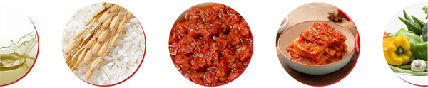 拌味村拌饭加盟