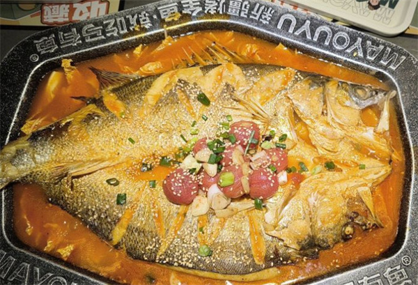马友鱼加盟