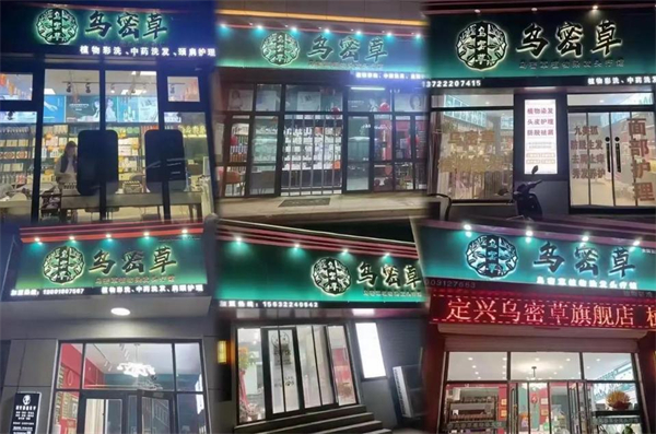 乌密草染发加盟