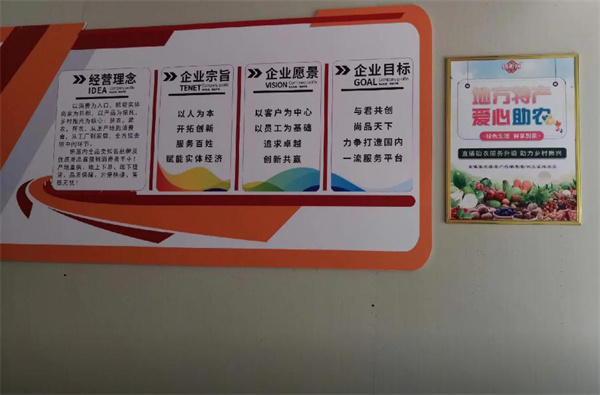 团如易加盟
