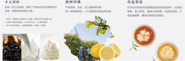 饮朵拉大杯茶加盟