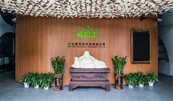 维怡美加盟