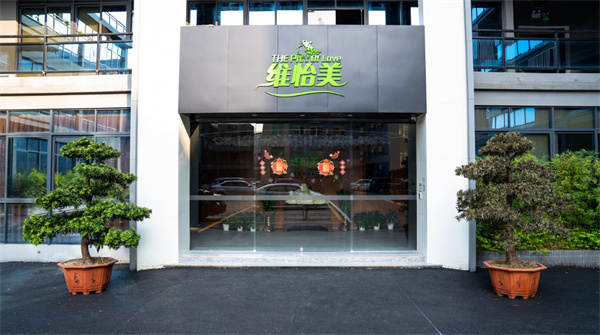 维怡美加盟
