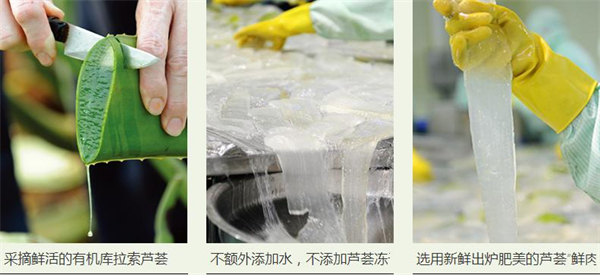 瑷露德玛加盟