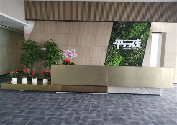平行线教育加盟