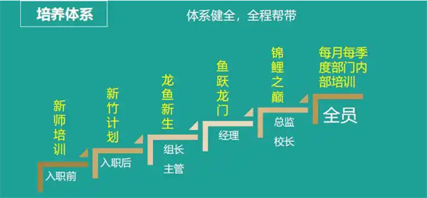 平行线教育加盟