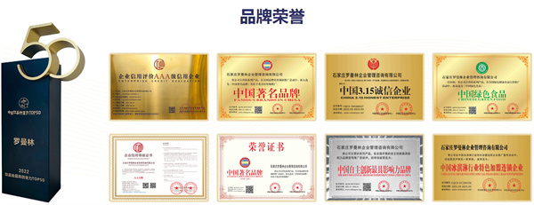 罗曼林加盟
