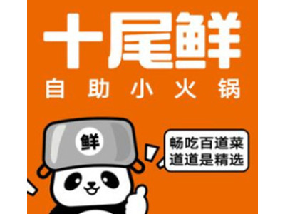 十尾鲜自助小火锅加盟图册