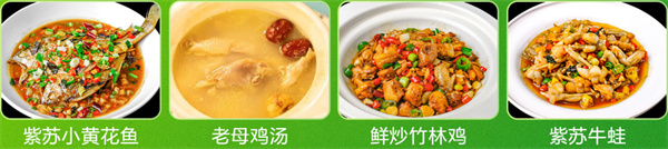 王小赞肥肠竹林鸡加盟