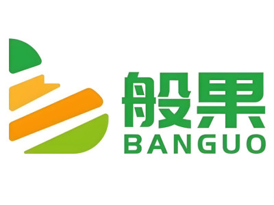 般果城市仓加盟图册
