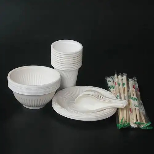 上海餐具市场大揭秘！代理一次性餐具挣钱吗？