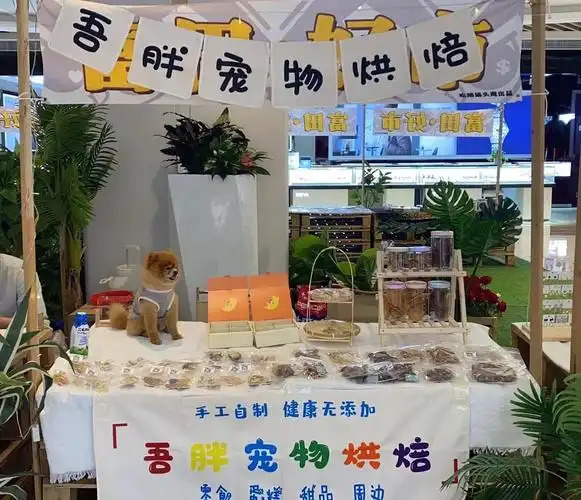 经验分享：零基础小白入局，什么行业适合新手创业发展？