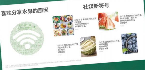 纤果纪加盟