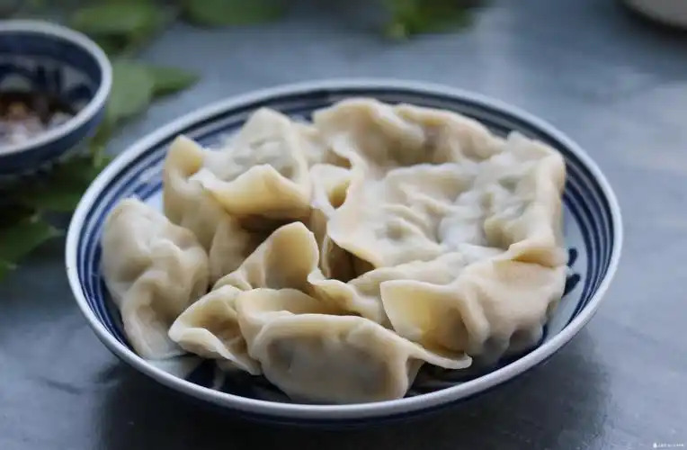 新手创业必看指南！开饺子馆挣钱吗？
