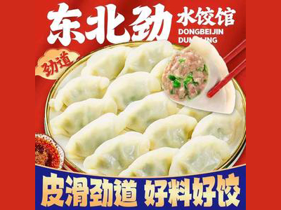 东北劲水饺加盟图册